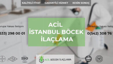 İstanbul Böcek İlaçlama: Evdeki Haşerelerden Kurtulmanın Uzman Yöntemi