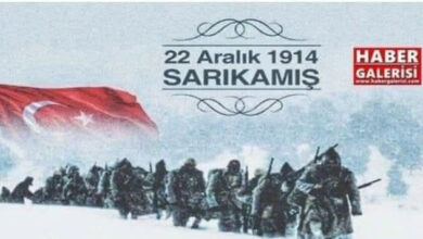 Sarıkamış Harekatı