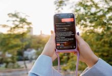 Mevsimlerin Ötesinde Bir İlgi