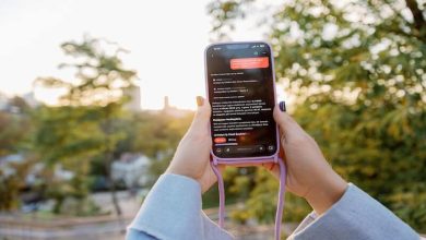 Mevsimlerin Ötesinde Bir İlgi